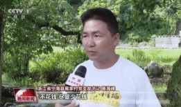 张大庄乡最近爆料消息新闻,揭秘乡域发展背后的故事