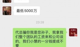 爆料大王樊小慧视频,揭秘娱乐圈惊人内幕